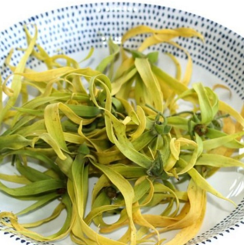 TheBloomingCupp Dried Ylang Ylang