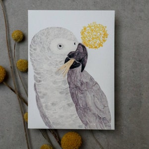 Karte "Papagei" - Aquarell Print - Glückwunschkarte - Geburtstagskarte - Postkarte