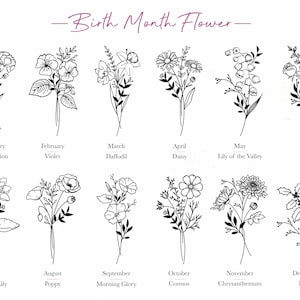 May include: A chart showing the birth month flower for each month of the year. The flowers are illustrated in black and white line drawings. January is the carnation, February is the violet, March is the daffodil, April is the daisy, May is the lily of the valley, June is the rose, July is the water lily, August is the poppy, September is the morning glory, October is the cosmos, November is the chrysanthemum, and December is the holly.