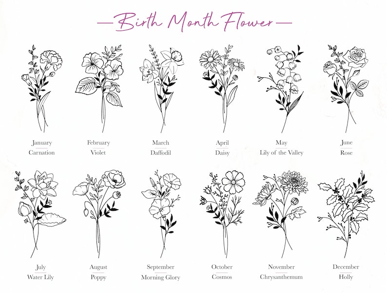 May include: A chart showing the birth month flower for each month of the year. The flowers are illustrated in black and white line drawings. January is the carnation, February is the violet, March is the daffodil, April is the daisy, May is the lily of the valley, June is the rose, July is the water lily, August is the poppy, September is the morning glory, October is the cosmos, November is the chrysanthemum, and December is the holly.