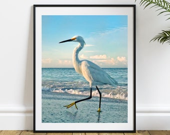 Snowy Heron or White Egret by the Sea - Nature Photo - Coastal Decor, The Birds of America, Print, Canvas Art, Canvas Wall Art, Sea Bird