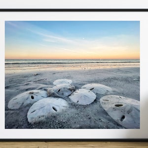 LidoBeachPhotography - Etsy