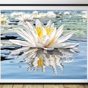 Lotus Print, Lily Pad Art, Water Lily Photo Print, Lily Pad Art, Floral Art Lover Gifts, Cool Artistic Gifts, Waterscape Lily Pad Print,