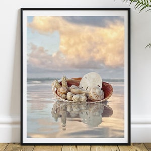 Seashell Fine Art Print, Sand Dollar Wall Art, Sand Dollar Home Decor, Nautical Marine Sea Life Beach House, Coastal Beach House Decor