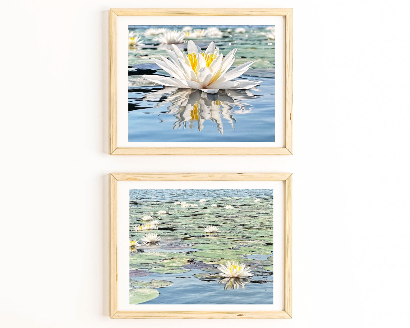 Lotus Print Lily Pad Art Water Lilies Photo Print Lily Pads | Etsy