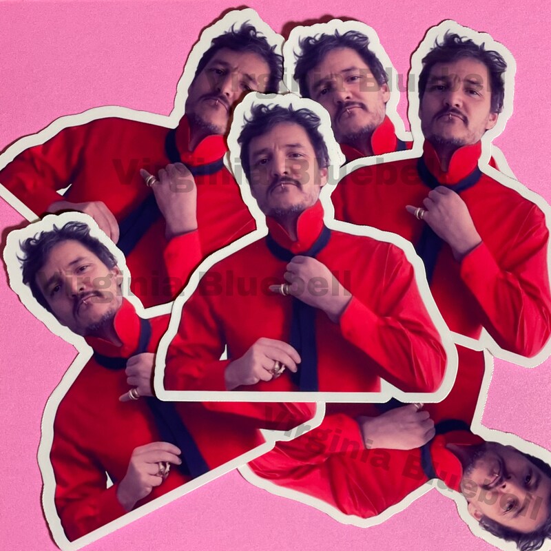 Pascal Sticker - Etsy