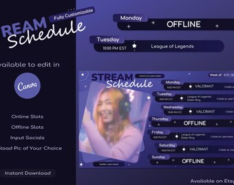 Cosmic Star Twitch Stream Ablaufplan Vorlage (Canva bearbeitbar, digitaler Download)