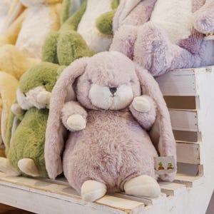 Gepersonaliseerde geborduurde naam Tiny Nibbles Bunny