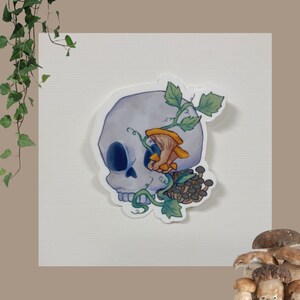 Mushroom Skulls