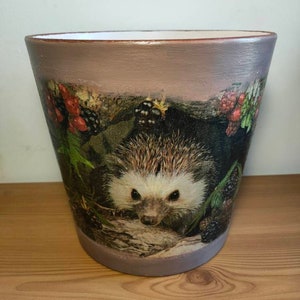 May include: A ceramic planter with a light brown glaze features a printed image of a hedgehog peeking out from a bed of green leaves and blackberries.