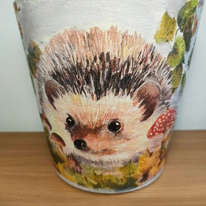 May include: A white ceramic planter featuring a painted design of a hedgehog surrounded by leaves and mushrooms. The hedgehog has brown eyes and a black nose.