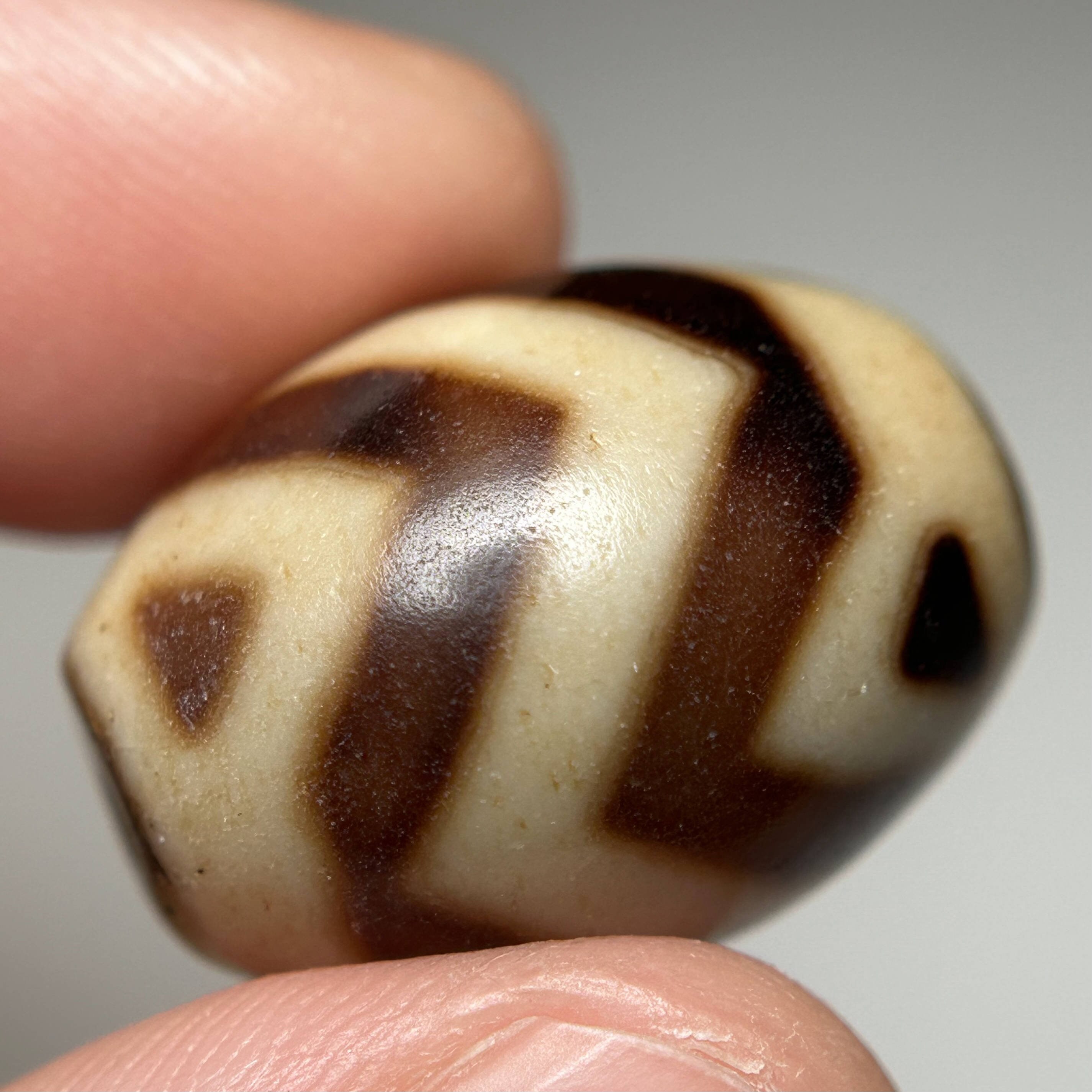 Old Tibetan Double Tiger Tooth Dzi Bead: Weathered Luo Amulet