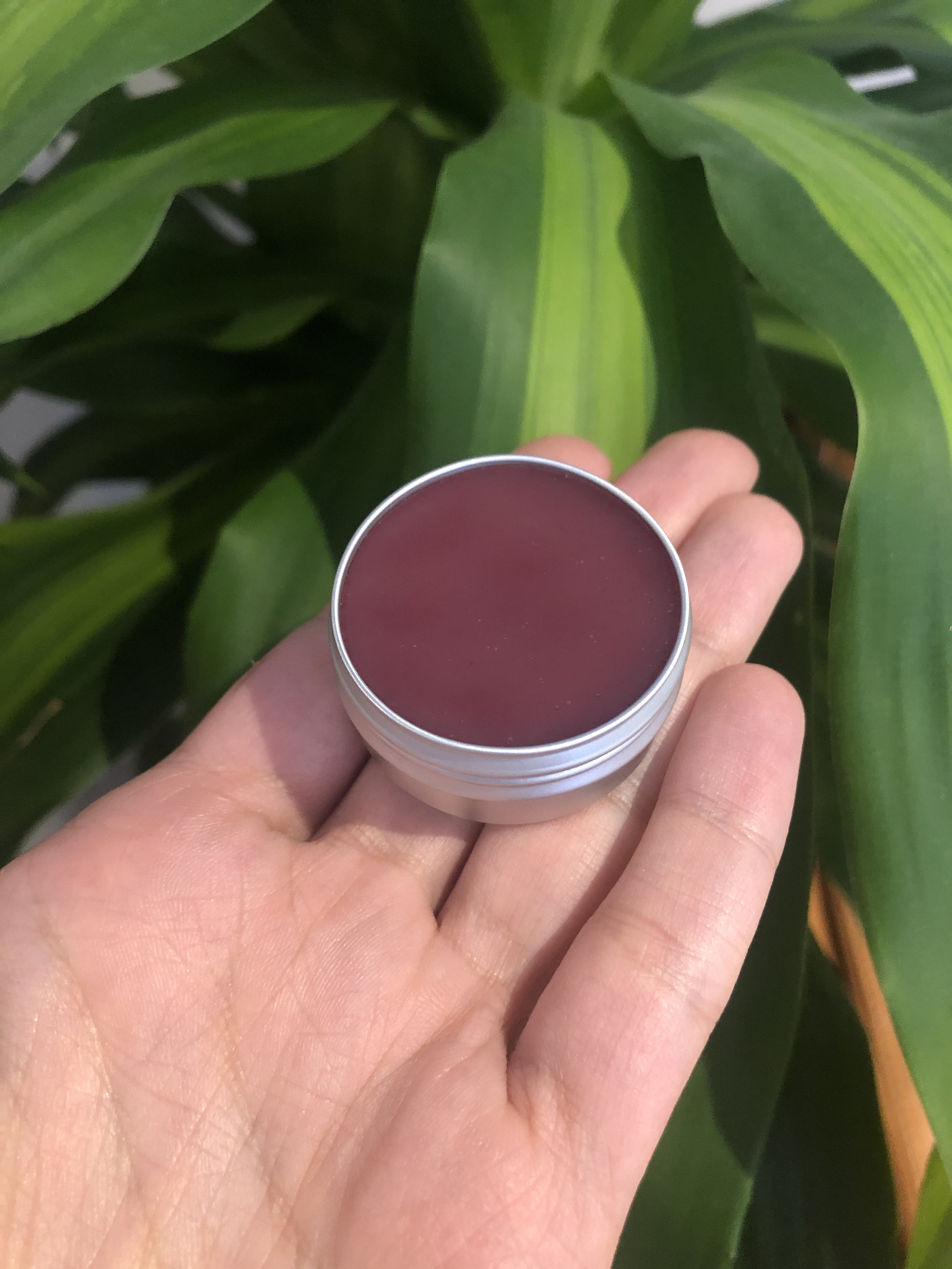 Lip Balm Creamy Cocoa Butter 15ML Etsy