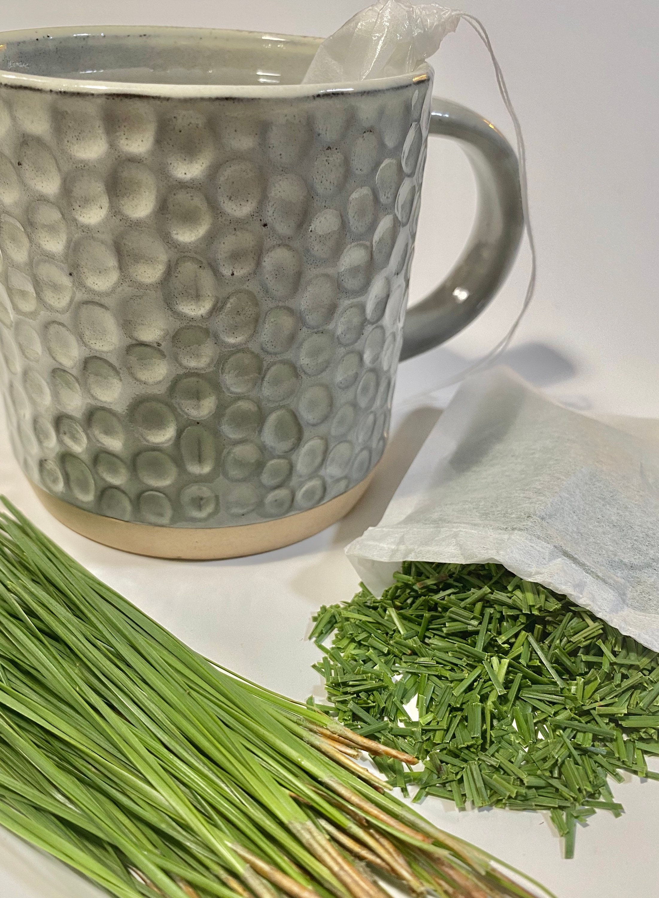 Fresh Organic Pine Needles 9 oz in Tea Bags 12 Etsy