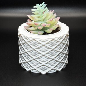 3D Printed Succulent Planter with Drainage | Geometric Mini Plant Pot | Removable Insert | Multiple Colors | Cute Desk Planter Gift