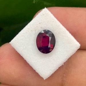 Può includere: Una pietra preziosa ovale di colore rosso intenso con taglio a faccette, esposta su un cuscino di schiuma bianca.