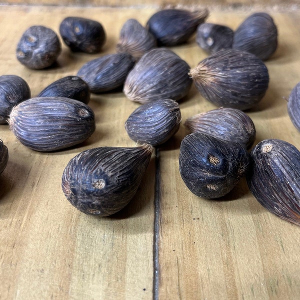 Ikines - African Palm Nuts - Ikinis