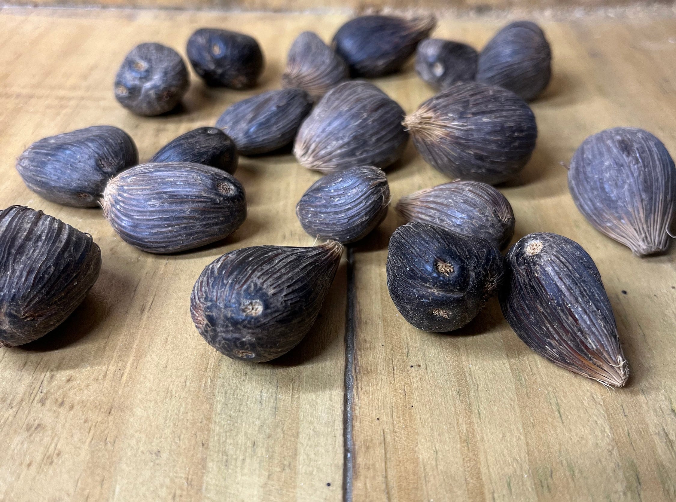 Ikin palm nuts