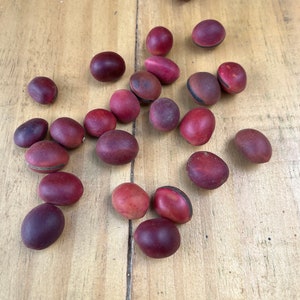 Può includere: Una collezione di semi color amaranto sparsi su una superficie di legno chiaro. I semi hanno forme diverse, alcuni sono rotondi e altri più oblunghi. La venatura del legno è visibile, aggiungendo consistenza all'immagine. I semi sembrano naturali e organici.