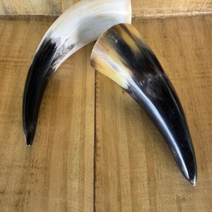 Bull Horns - Tarros de Ogue