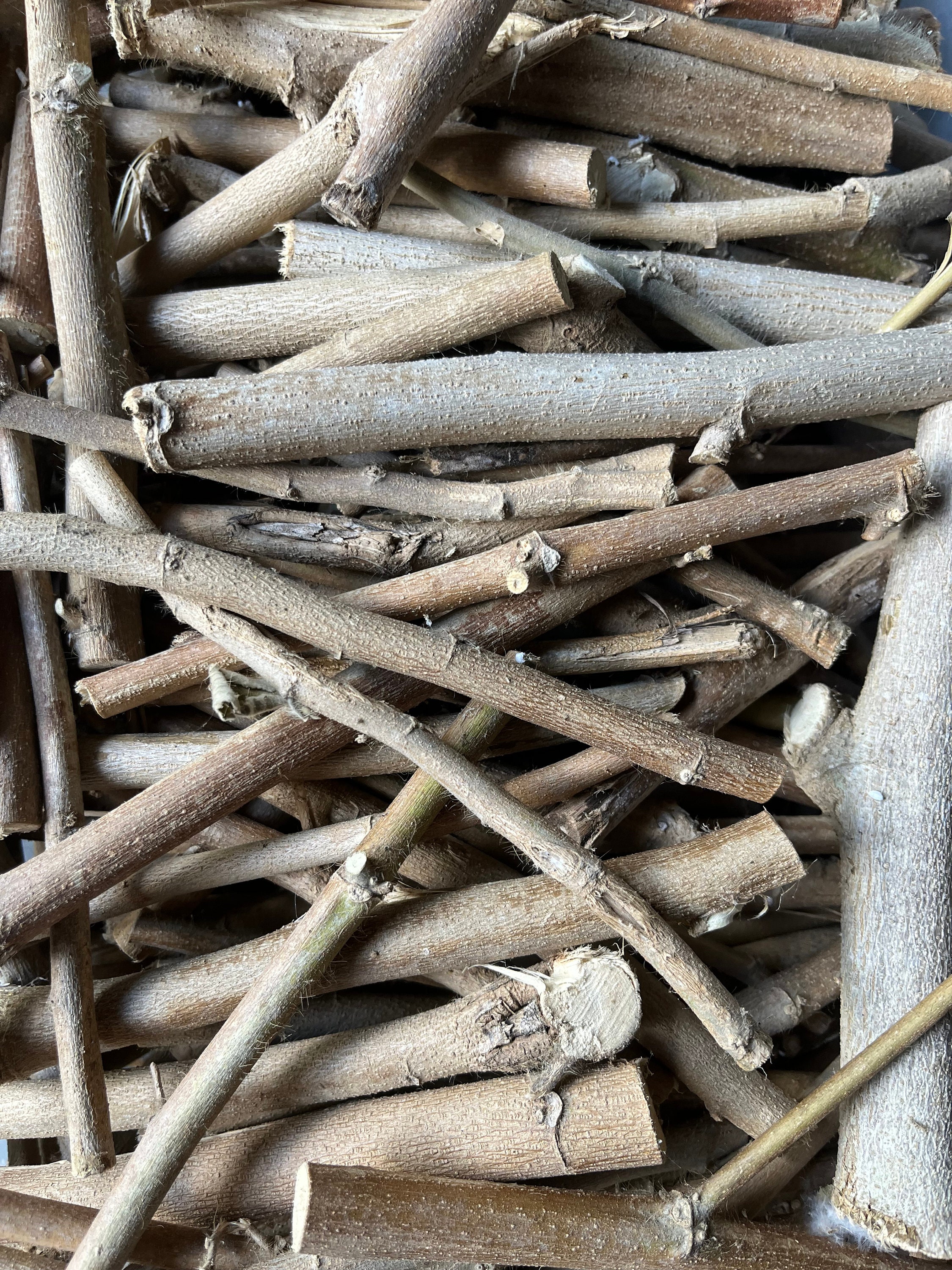 Gedroogde sticks - Palo Seco