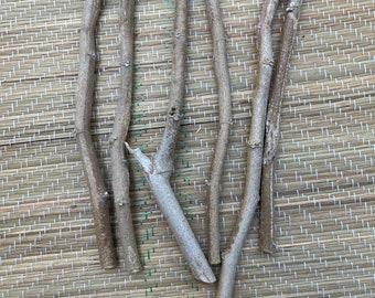 Vence Batalla - Palo Seco - Battle Winner - Stick