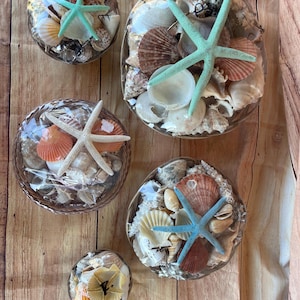 Carga de Olokun - Seashells Set