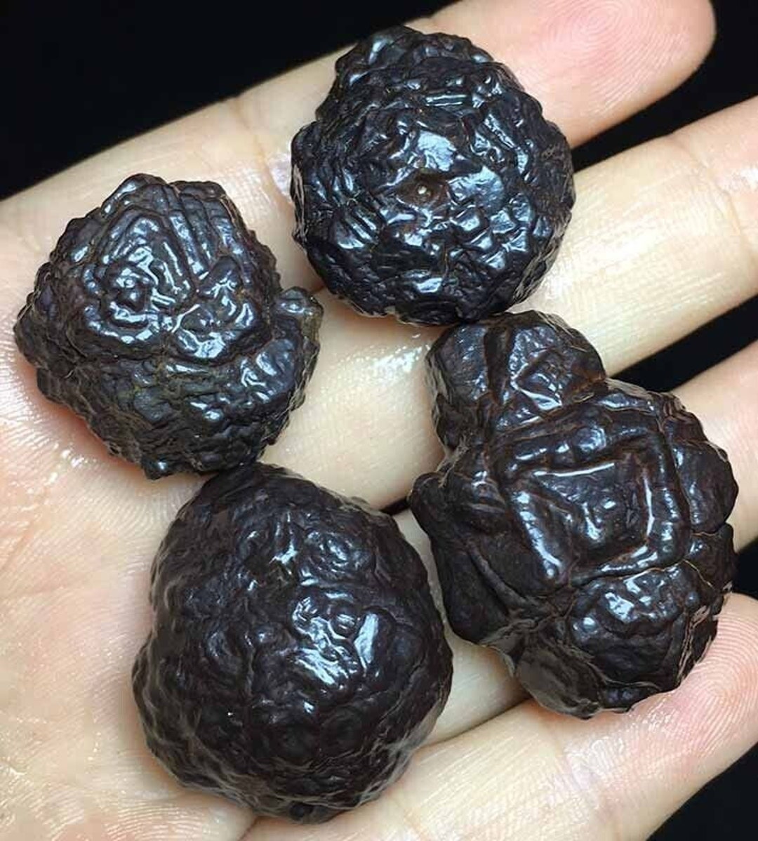 4 Pcs. 86G Natural egypt Black Diamond Quartz Crystal Prophesy Stone Specimen Reiki Raw Gemstone