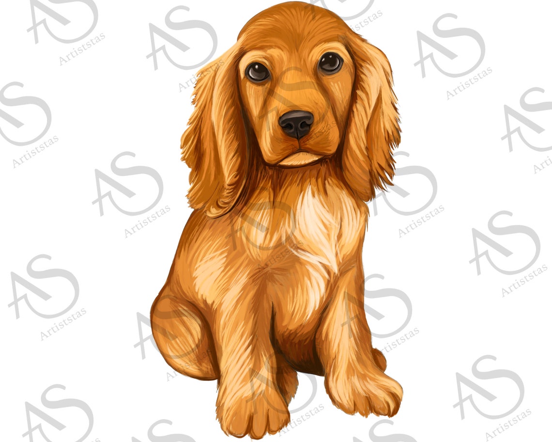 Cocker Spaniel Png Sublimation Design Hand Drawn Cocker - Etsy
