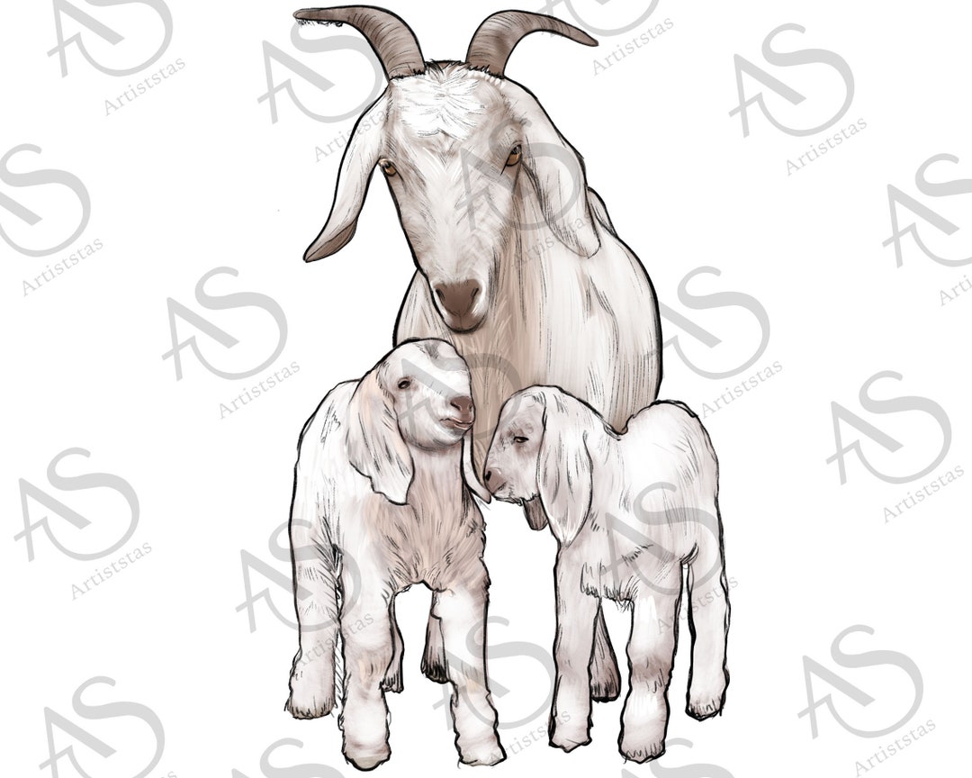 Goat Family Png, Goat Sublimation, Goat Png, Western Goat Design,goat Family Sublimation Design ...