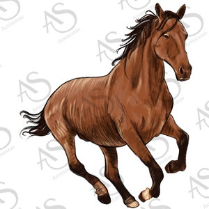 Western Horse Png Sublimation Design, Horse Png, Hand Drawn Horse Png, Western Design Png,Horse Clipart,Digital Download, Instant Download