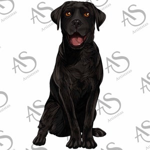 Black Labrador png sublimation design download, black dog png, Labrador png, cute dog png, black lab png, sublimate designs download