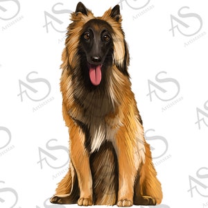 Belgian Shepherd Tervuren Png Sublimation Design, Hand Drawn Belgian Tervuren Png, Belgian Tervuren Portrait Png, Animal Design Png Download