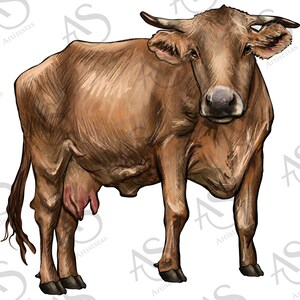 Cow Png Sublimation Design, Cow Clipart, Hand Drawn Cow Png, Cattle Sublimation Design Png, Farm Animals Png, Barnyard Animals Png Downloads