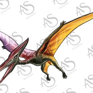 Pterodactyl transparent background PNG cliparts free download