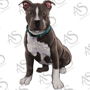 Pitbull Png Sublimation Design, Hand Drawn Pitbull Png, Pitbull Dog Portrait Png, Pitbull Clipart, Animal Design Png, Digital Download
