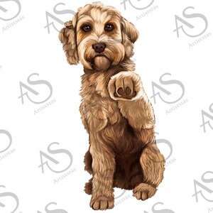 Labradoodle Png Sublimation Design, Labradoodle Png, Labradoodle Png, Hand Drawn Labradoodle Dog Png, Dog Portrait Png, Digital Download
