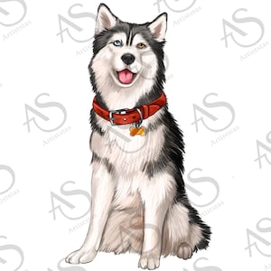 Siberian Husky Sublimation Design, Hand Drawn Siberian Husky Png,  Dog Portrait Png, Siberian Husky Clipart, Animal Design Png, Downloads
