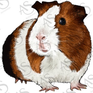 Guinea Pig Png Sublimation Design Png, Guinea Pig Portrait Png, Hand Drawn Guinea Pig Png, Animal Portrait Png Digital Downloads