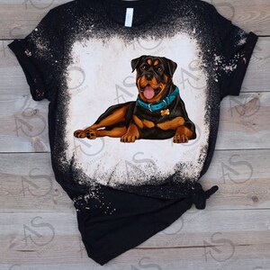 Rottweiler Png Sublimation Design, Rottweiler Png, Rottweiler Dog Png ...