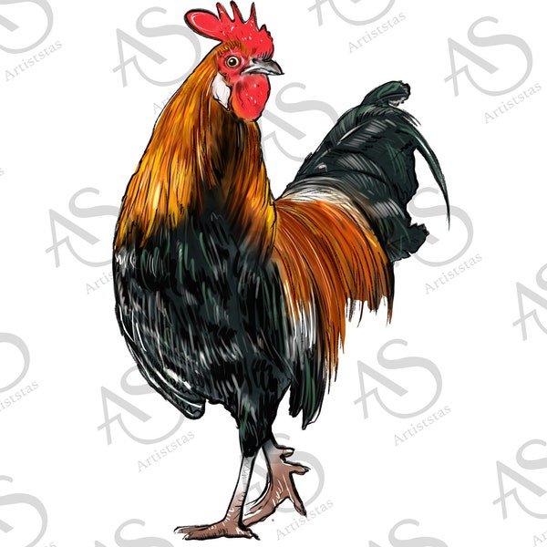 Rooster Png Sublimation Design,Western Rooster Png, Rooster Clipart,Hand Drawn Rooster Png,Rooster Portrait Png,Western Design Png Downloads