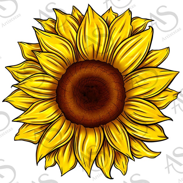 Sunflower Background Png Sublimation Design,Sunflower Png, Hand Drawn Sunflower Png, Sunflower Clipart Png, Sunflower Png Digital Download