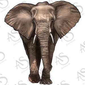 Elephant Png Sublimation Design, Hand Drawn Elephant Png, Elephant Portrait Png, Elephant Clipart Png, Elephant Png Digital Downloads