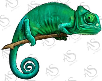 Chameleon Png Sublimation Design, Hand Drawn Chameleon Png, Chameleon Portrait Png, Chameleon Clipart Png, Animal Portrait Png Downloads