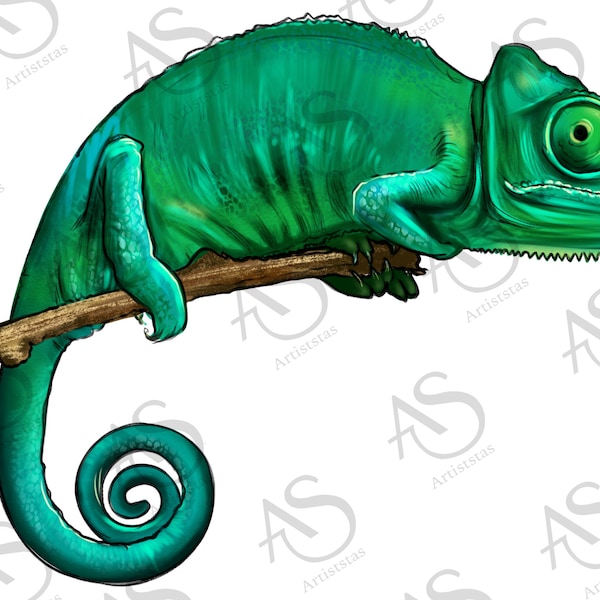 Chameleon Png Sublimation Design, Hand Drawn Chameleon Png, Chameleon Portrait Png, Chameleon Clipart Png, Animal Portrait Png Downloads