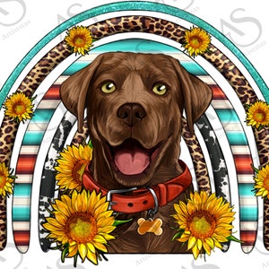 Serape Sunflower Chocolate Labrador Rainbow Png,Labrador Retriever Png,Sunflower Rainbow Png,Serape Rainbow Png,Chocolate Labrador Rainbow