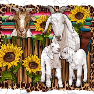 Famiglia di capre con girasole e sfondo occidentale Png, famiglia di capre png, design di capra occidentale, png di girasole, design a sublimazione, download digitale