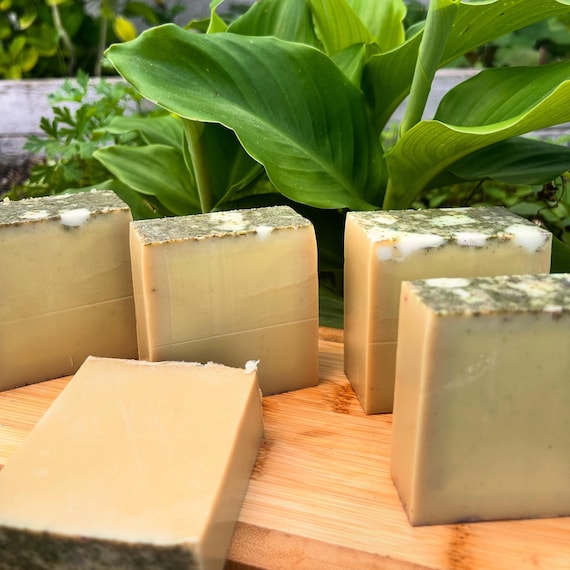 Aloe Vera and oatmeal body soap