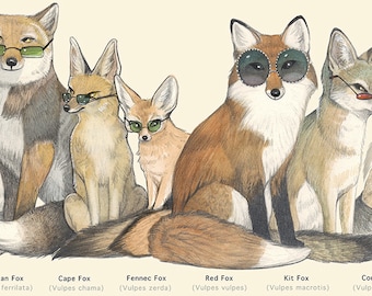 PRINT - Shady True Fox Species Chart