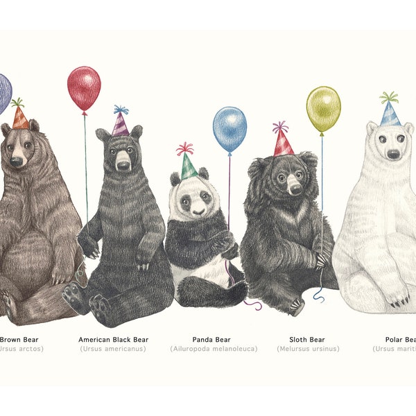 PRINT - Party Bear Species Chart